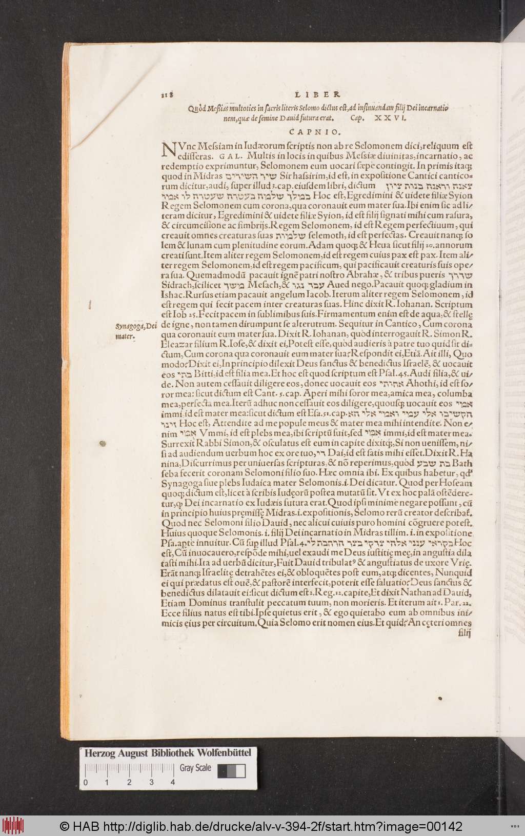 http://diglib.hab.de/drucke/alv-v-394-2f/00142.jpg