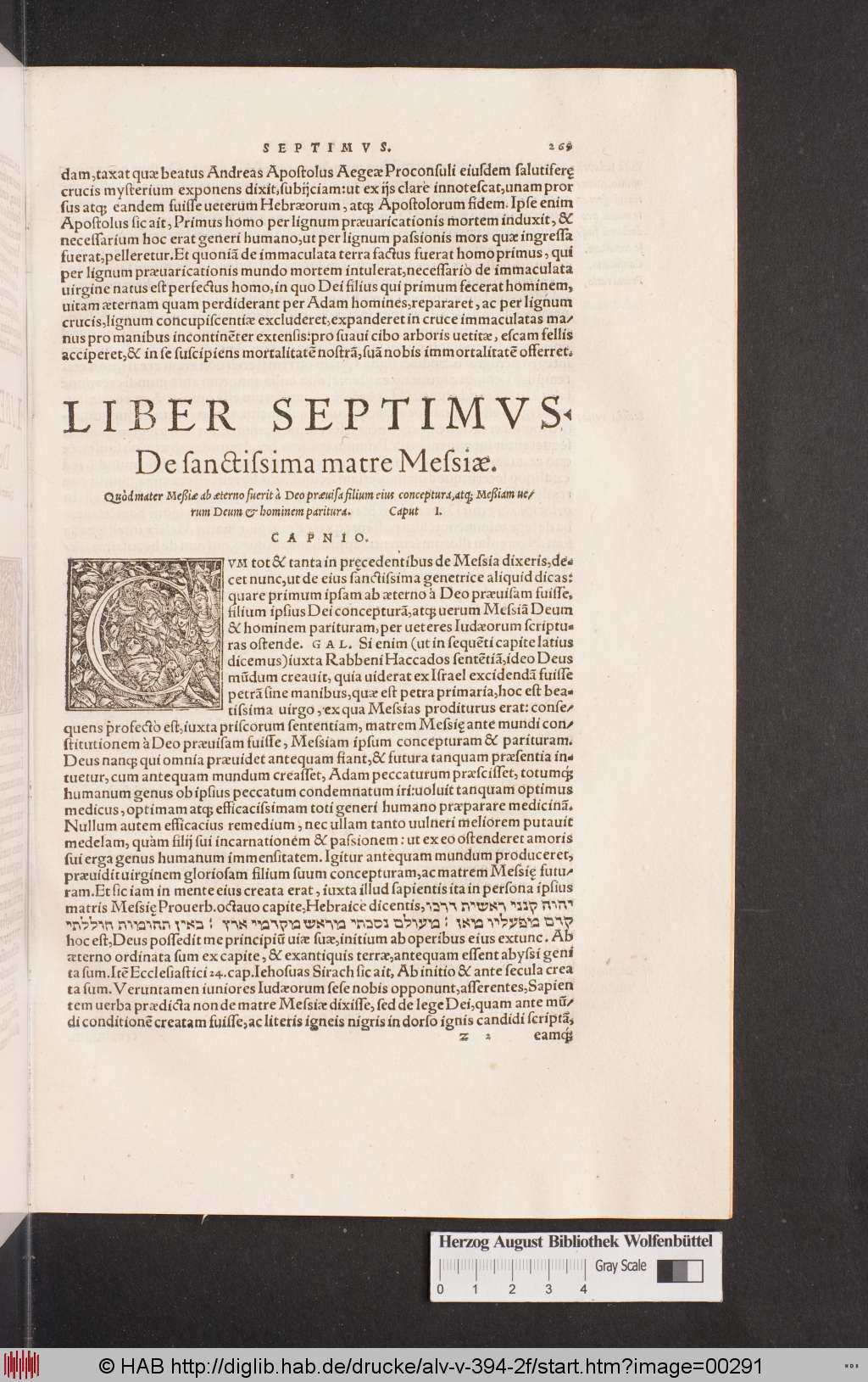 http://diglib.hab.de/drucke/alv-v-394-2f/00291.jpg