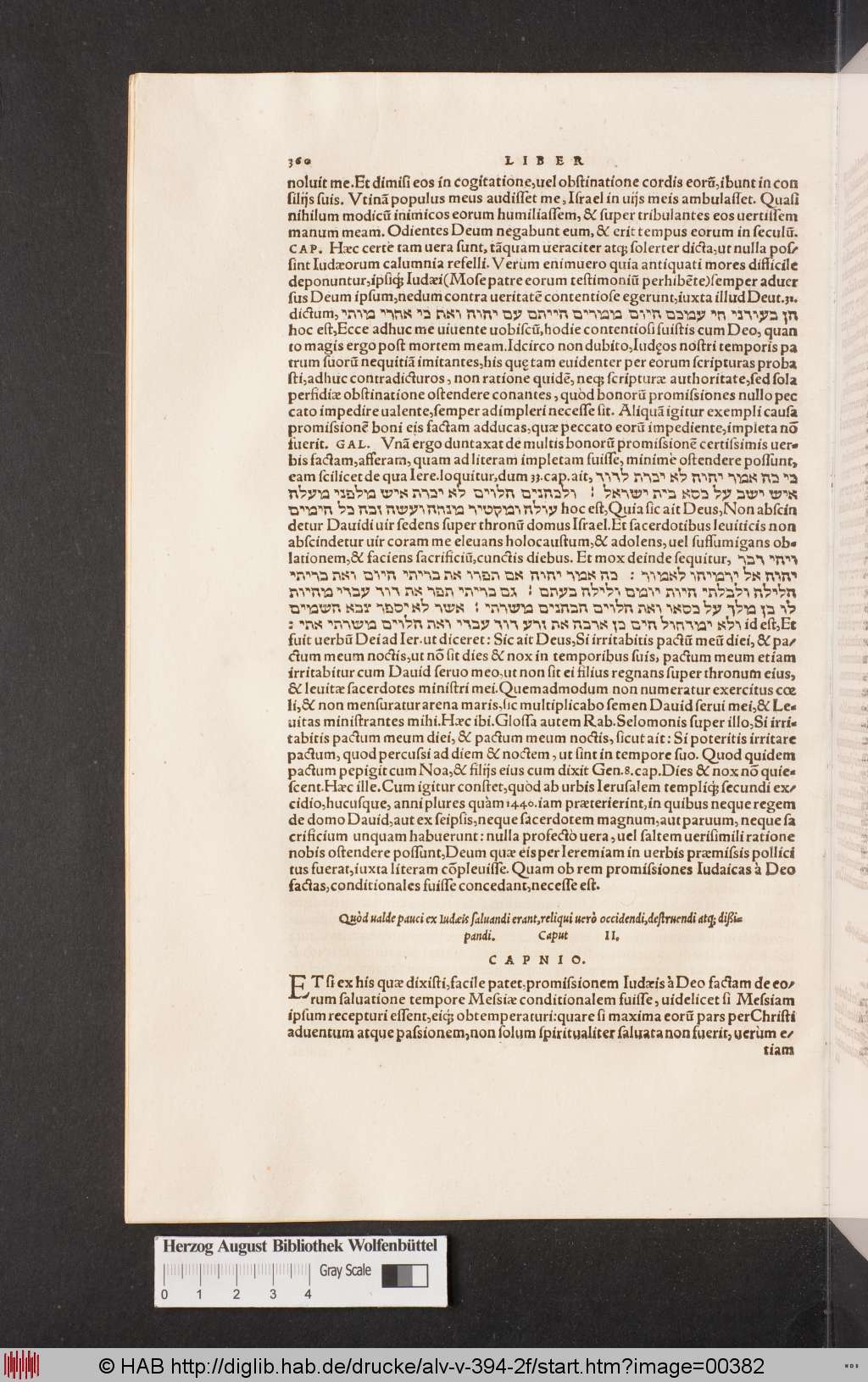 http://diglib.hab.de/drucke/alv-v-394-2f/00382.jpg