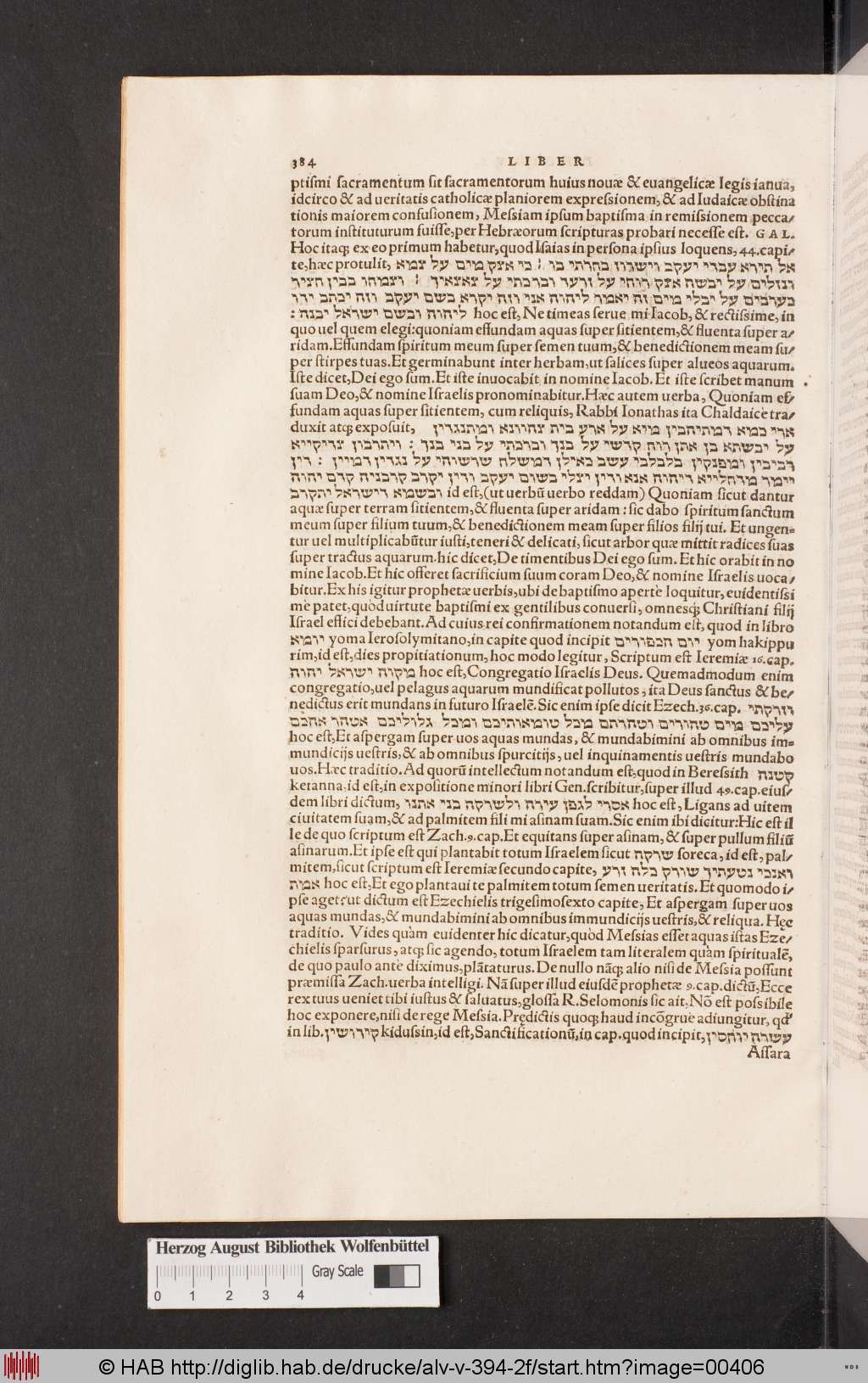 http://diglib.hab.de/drucke/alv-v-394-2f/00406.jpg