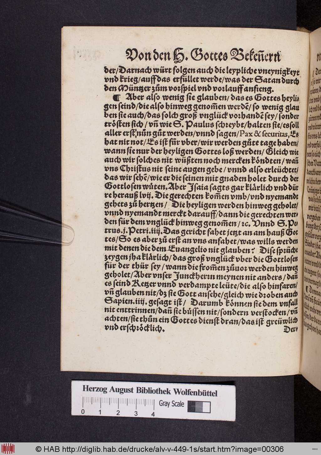 http://diglib.hab.de/drucke/alv-v-449-1s/00306.jpg