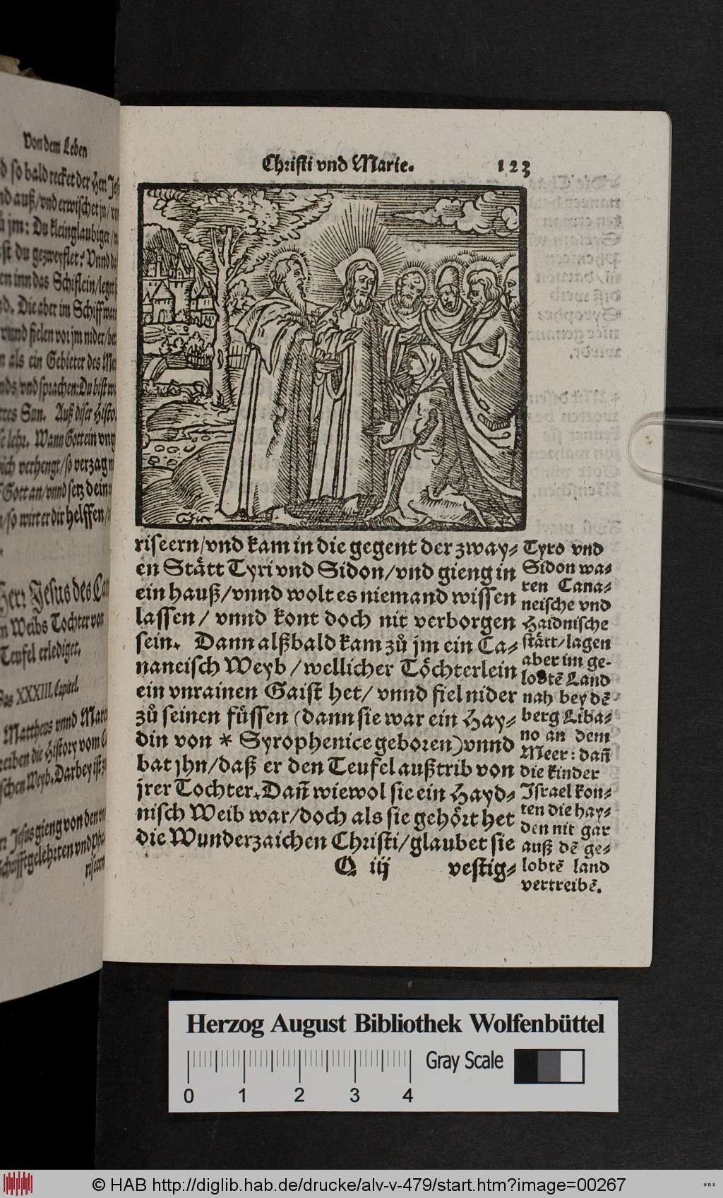 http://diglib.hab.de/drucke/alv-v-479/00267.jpg