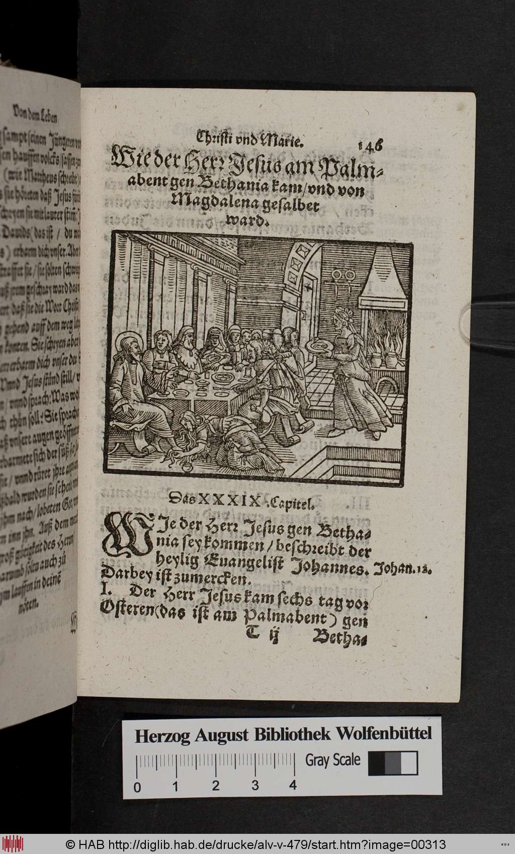 http://diglib.hab.de/drucke/alv-v-479/00313.jpg