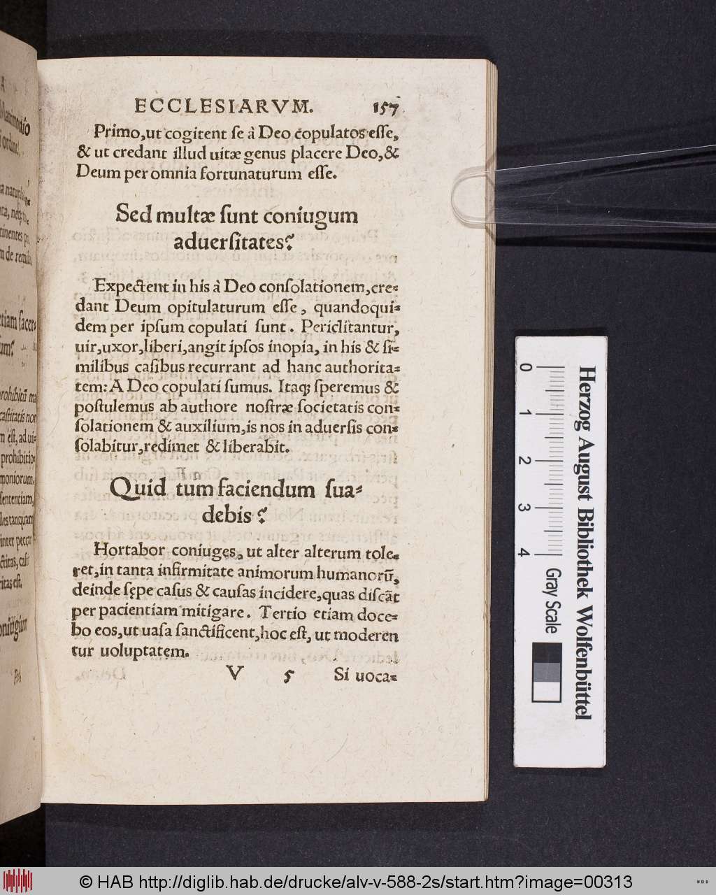 http://diglib.hab.de/drucke/alv-v-588-2s/00313.jpg