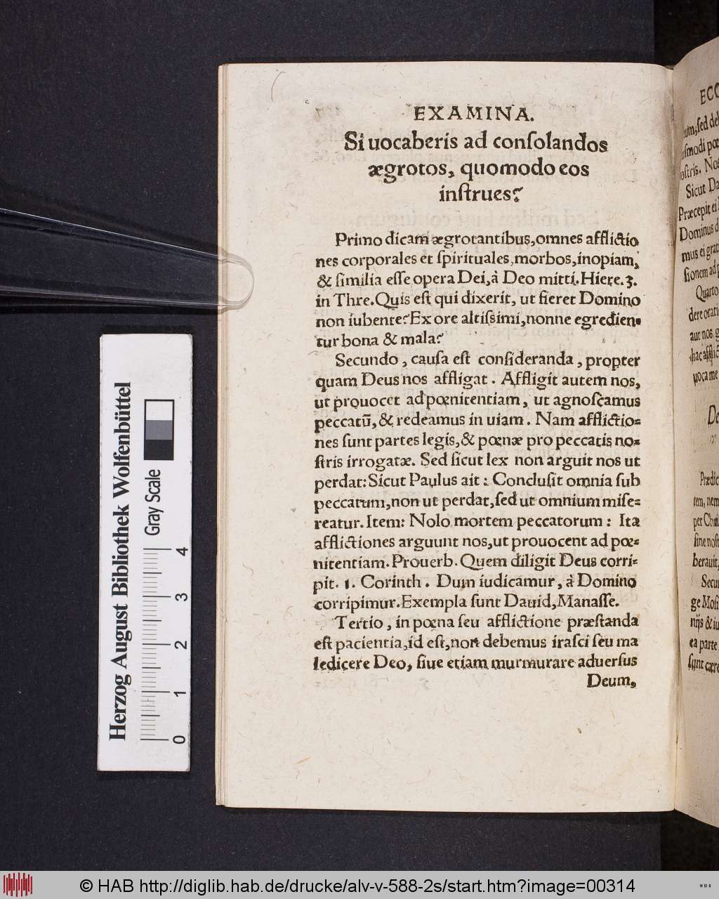 http://diglib.hab.de/drucke/alv-v-588-2s/00314.jpg