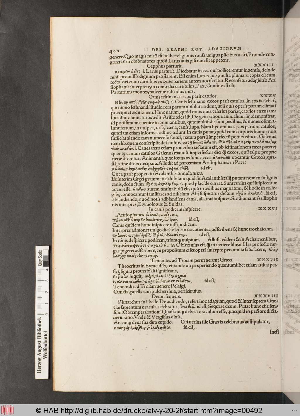 http://diglib.hab.de/drucke/alv-y-20-2f/00492.jpg