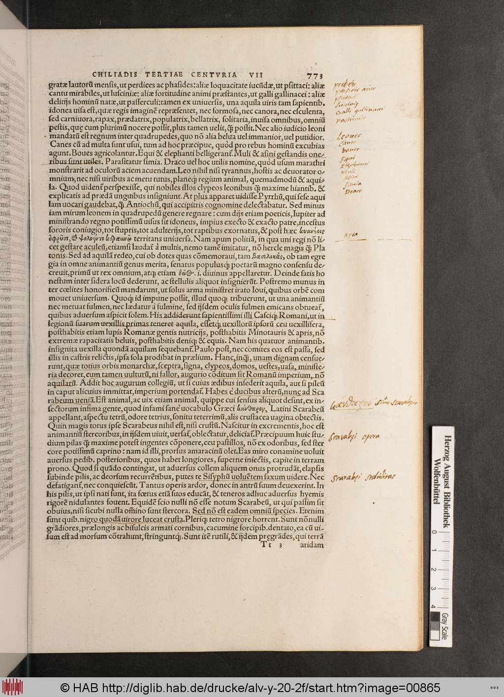 http://diglib.hab.de/drucke/alv-y-20-2f/00865.jpg