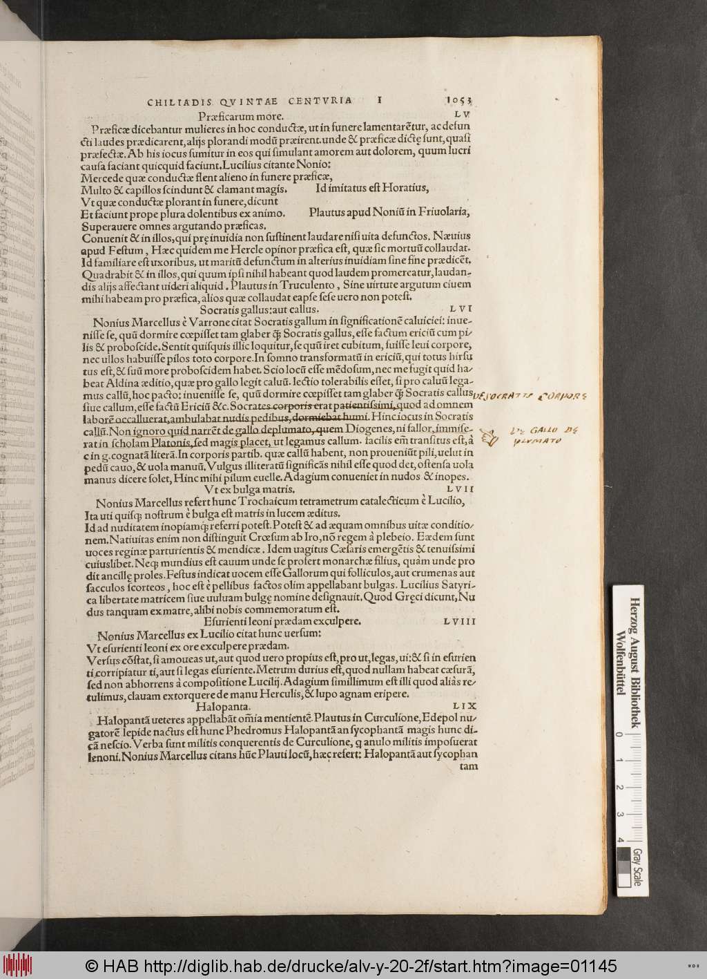 http://diglib.hab.de/drucke/alv-y-20-2f/01145.jpg