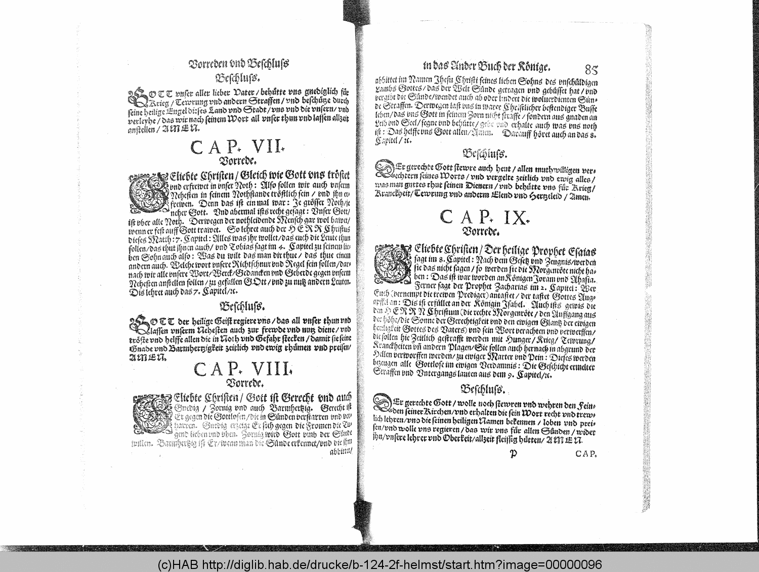 http://diglib.hab.de/drucke/b-124-2f-helmst/00000096.gif