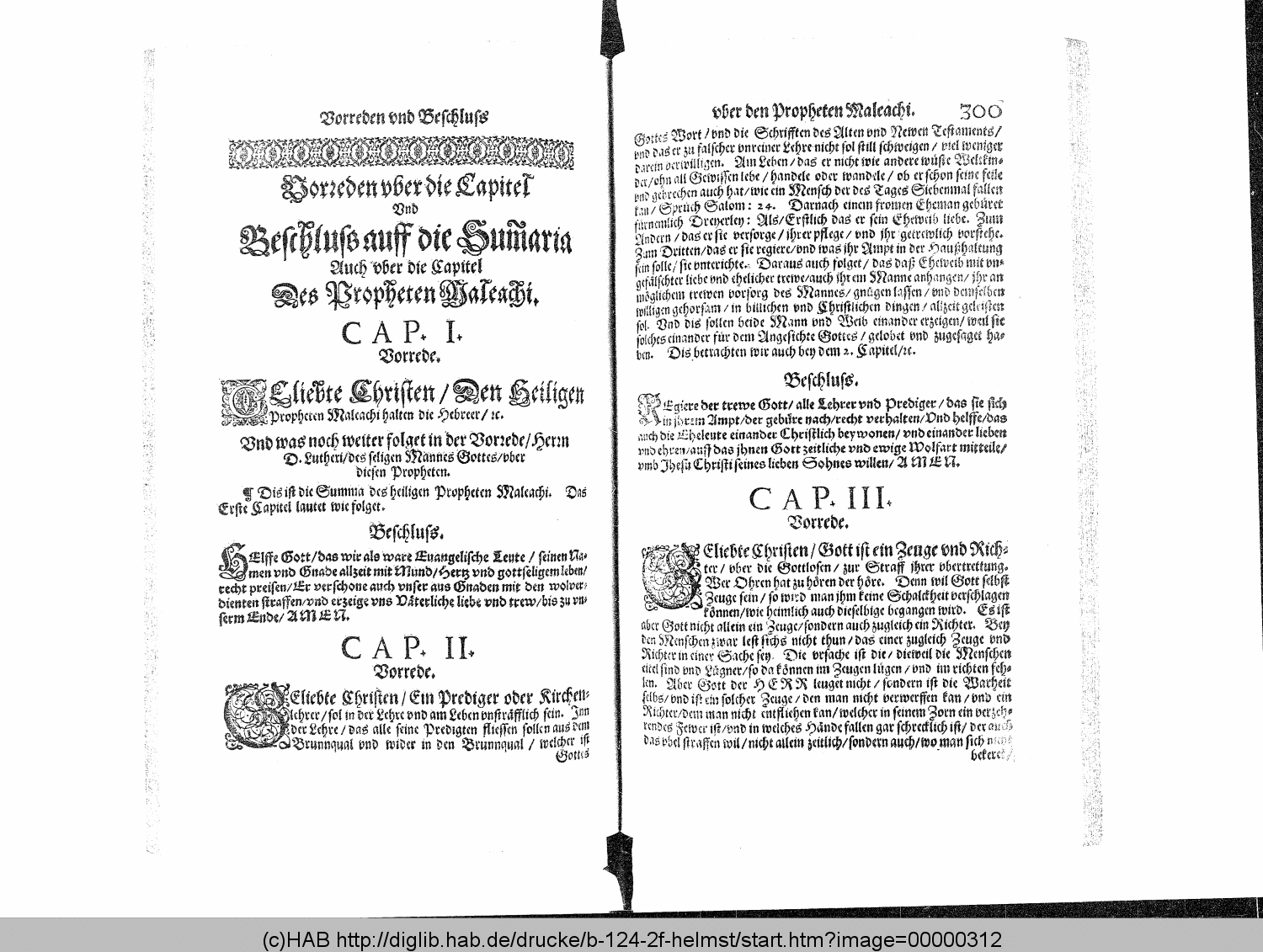 http://diglib.hab.de/drucke/b-124-2f-helmst/00000312.gif