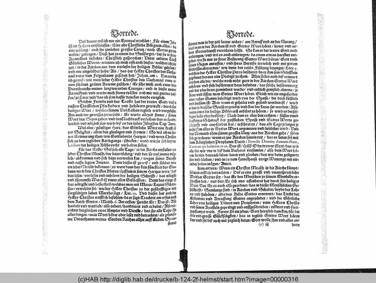 http://diglib.hab.de/drucke/b-124-2f-helmst/00000316.gif
