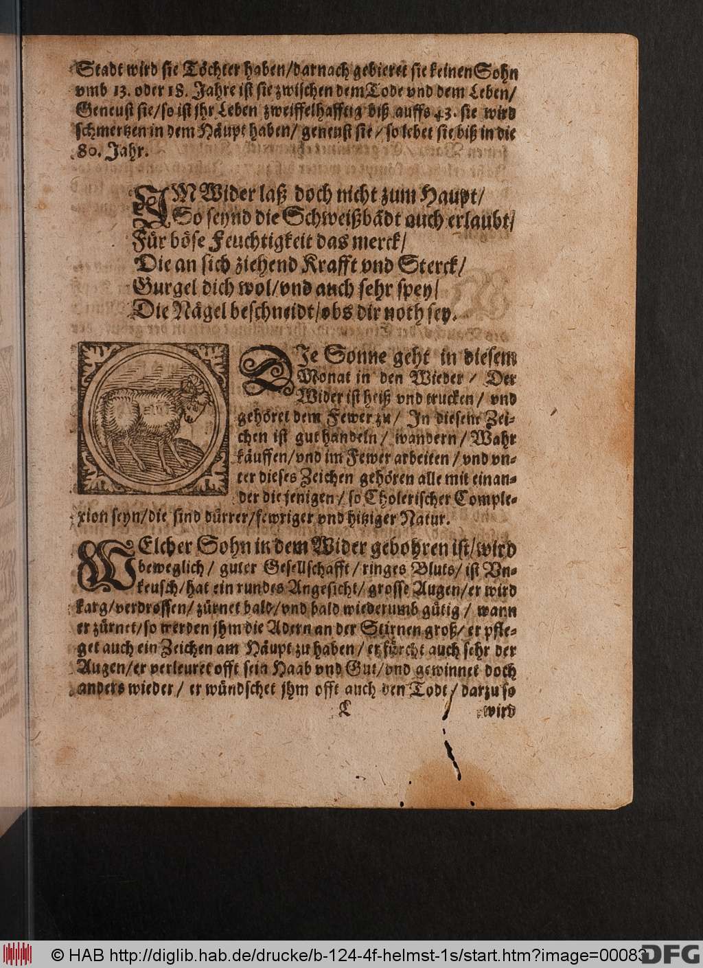 http://diglib.hab.de/drucke/b-124-4f-helmst-1s/00083.jpg