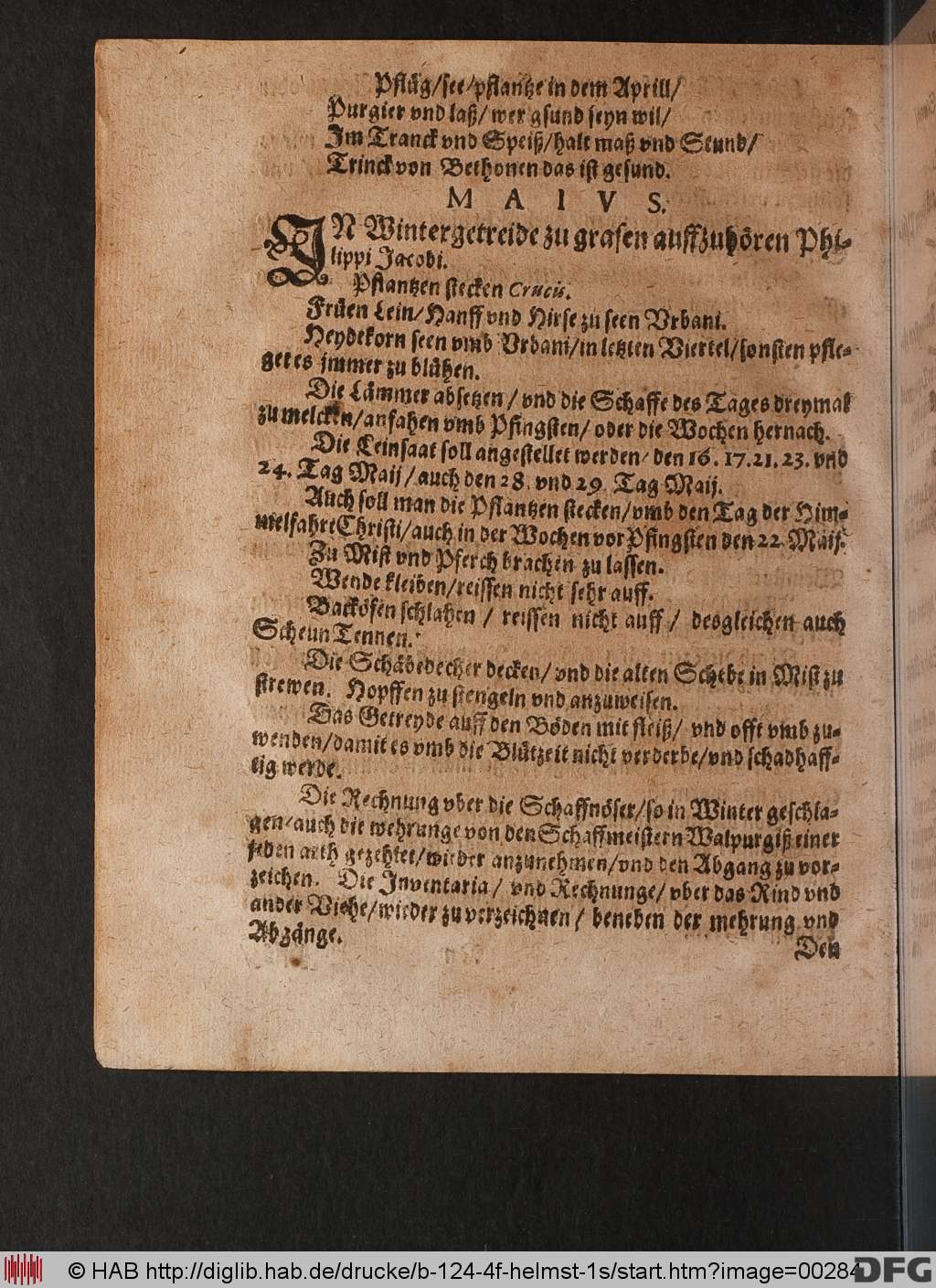 http://diglib.hab.de/drucke/b-124-4f-helmst-1s/00284.jpg