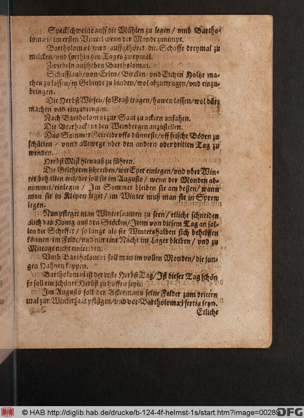 http://diglib.hab.de/drucke/b-124-4f-helmst-1s/00289.jpg
