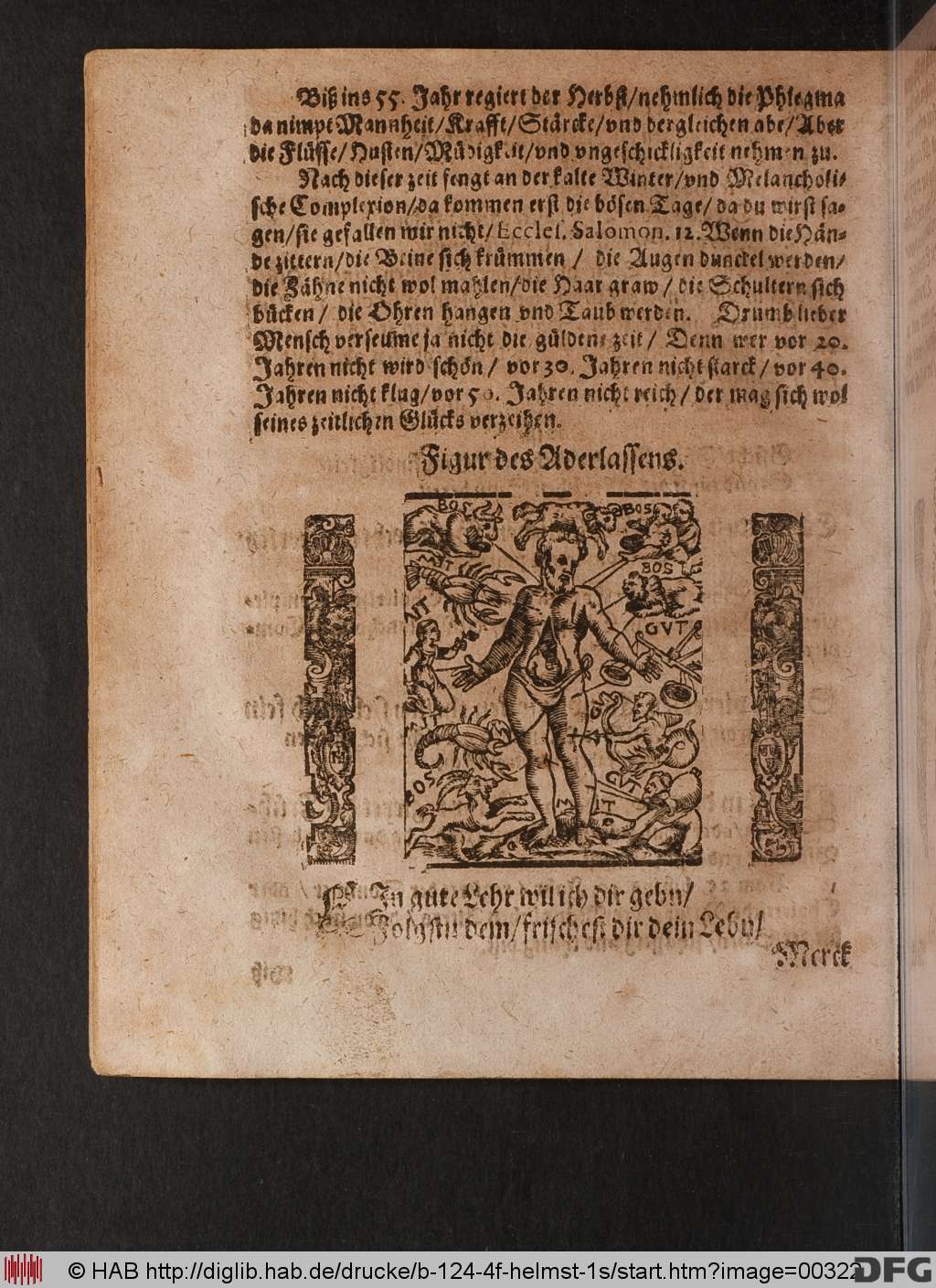 http://diglib.hab.de/drucke/b-124-4f-helmst-1s/00322.jpg