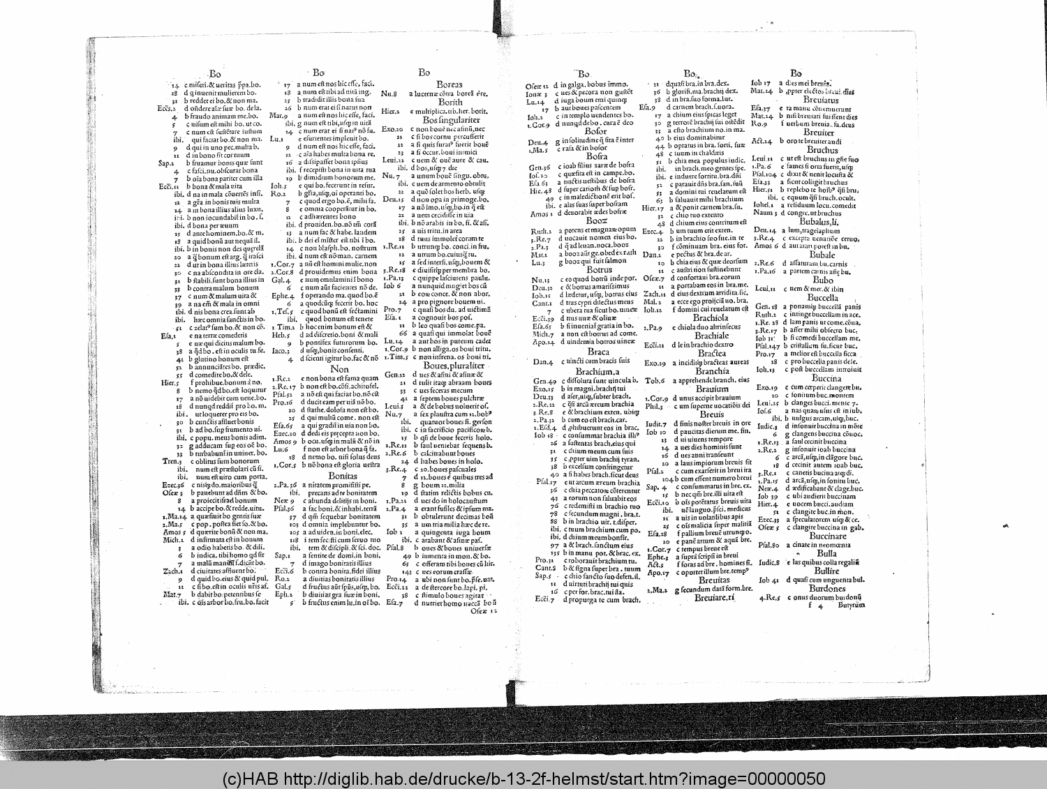 http://diglib.hab.de/drucke/b-13-2f-helmst/00000050.gif