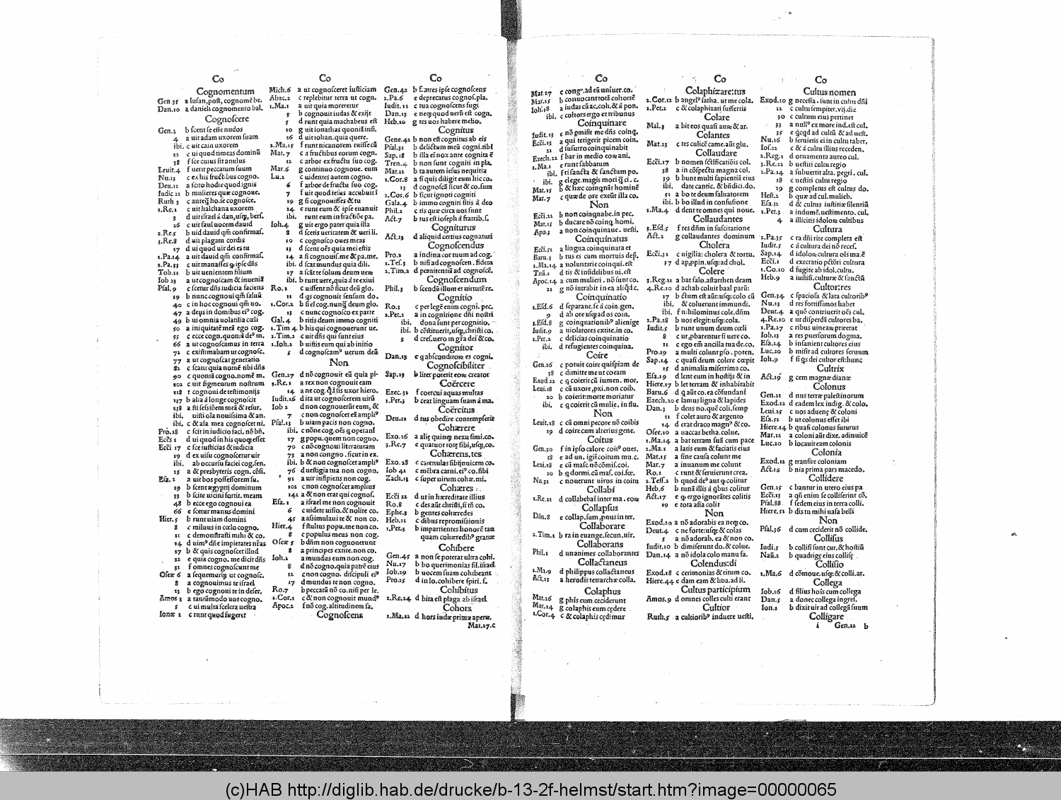 http://diglib.hab.de/drucke/b-13-2f-helmst/00000065.gif