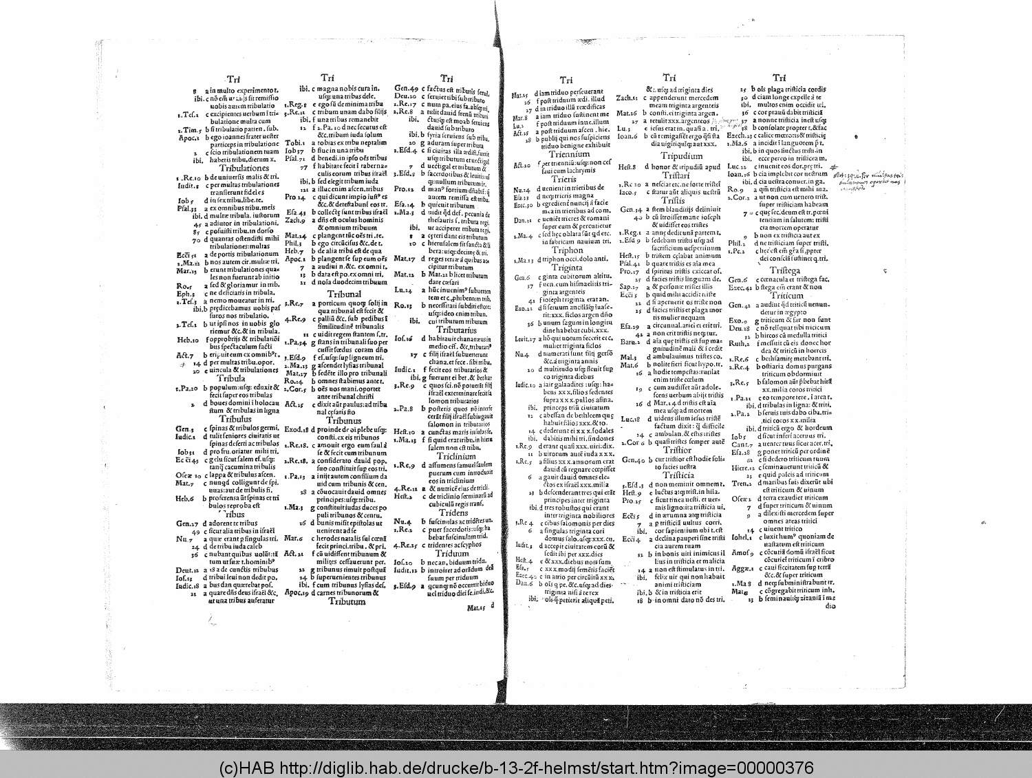 http://diglib.hab.de/drucke/b-13-2f-helmst/00000376.gif
