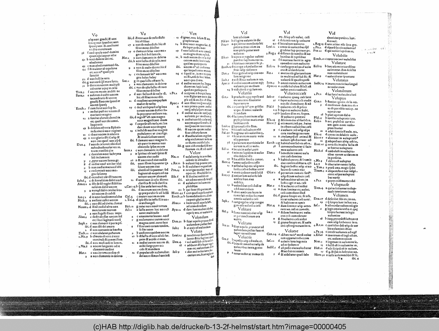 http://diglib.hab.de/drucke/b-13-2f-helmst/00000405.gif
