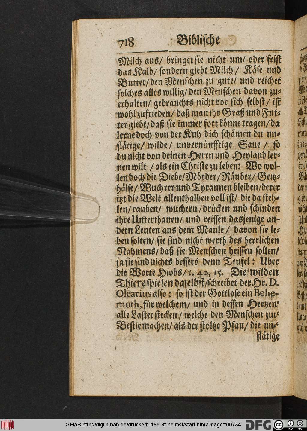 http://diglib.hab.de/drucke/b-165-8f-helmst/00734.jpg