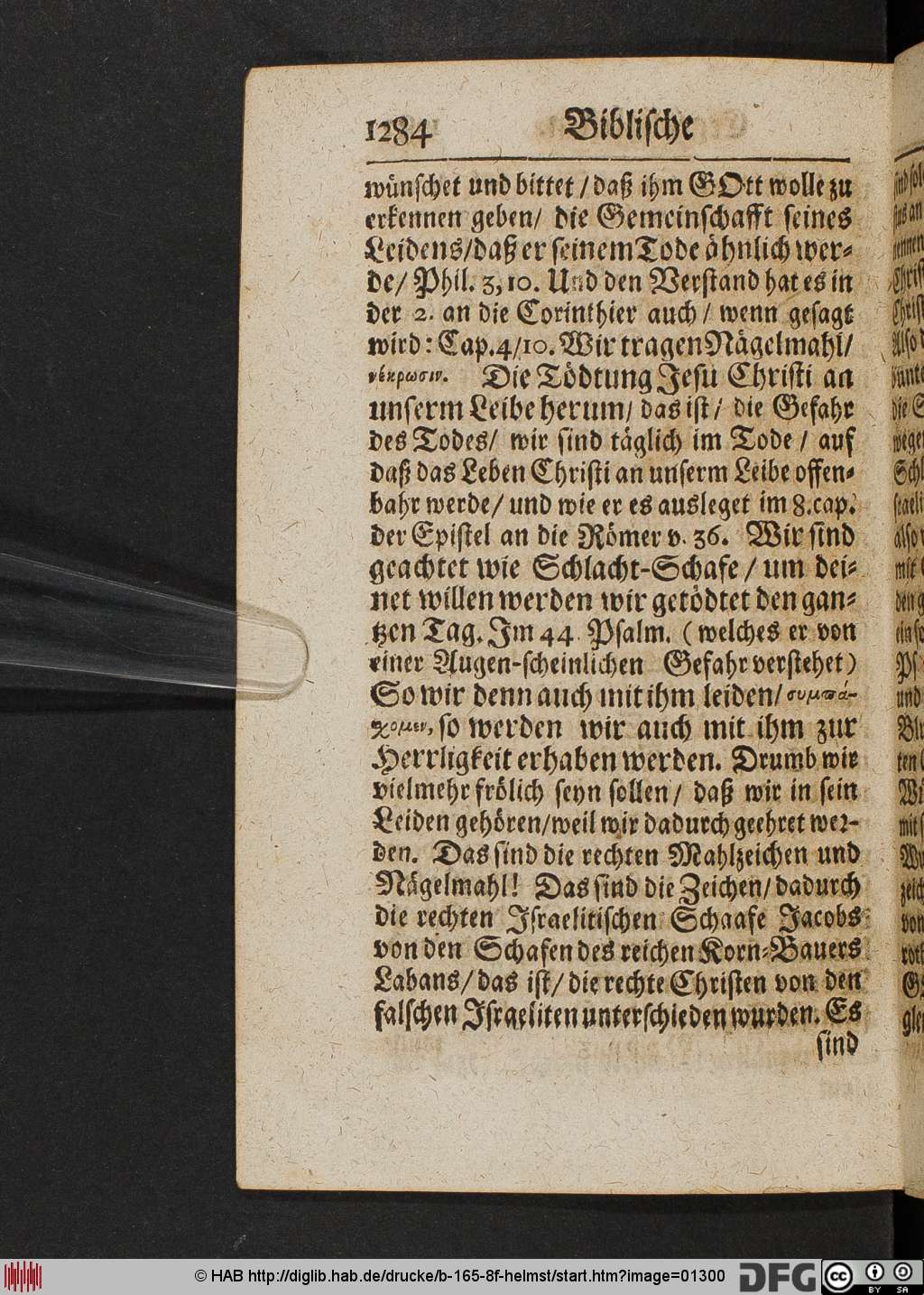 http://diglib.hab.de/drucke/b-165-8f-helmst/01300.jpg