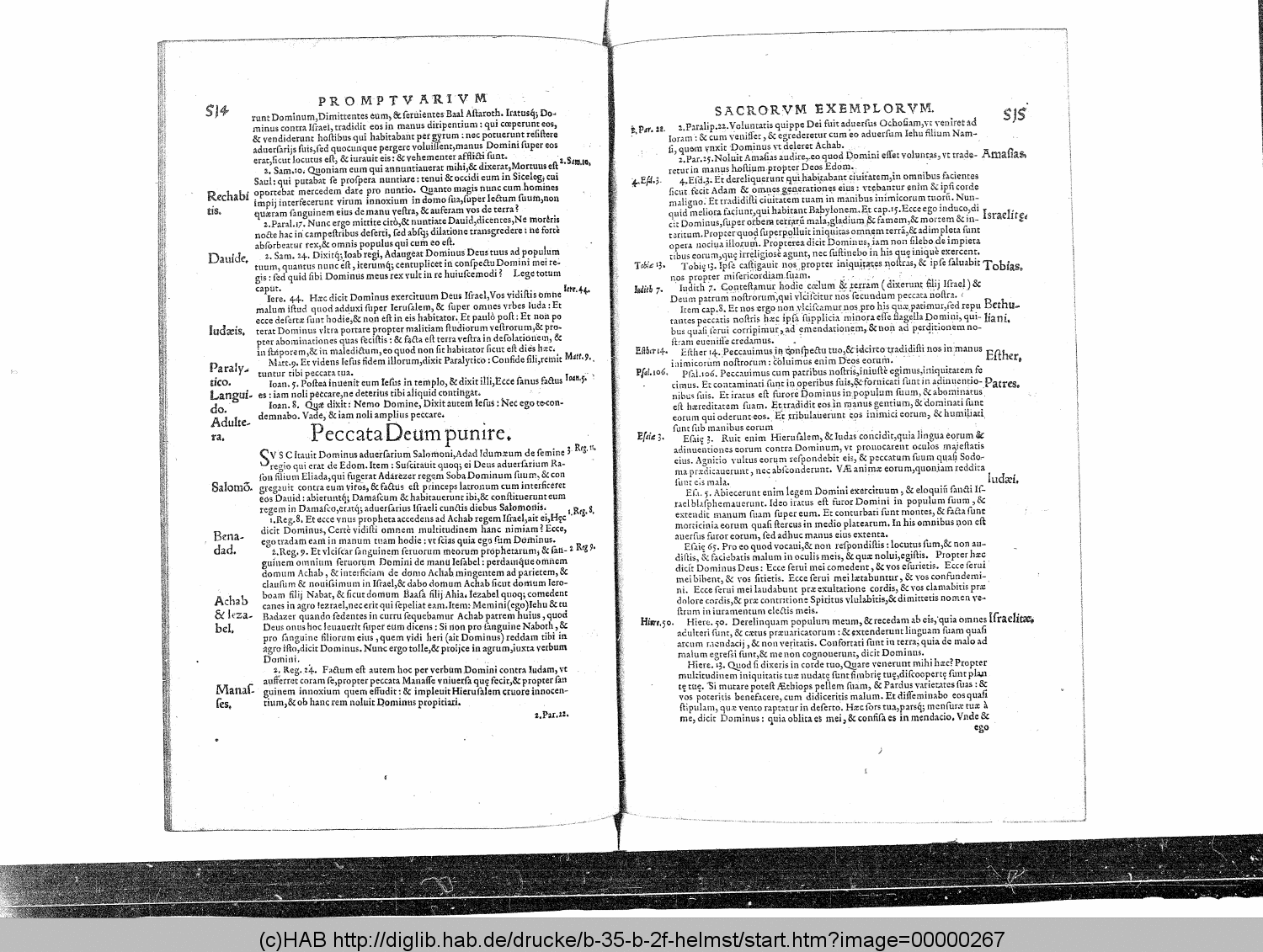 http://diglib.hab.de/drucke/b-35-b-2f-helmst/00000267.gif