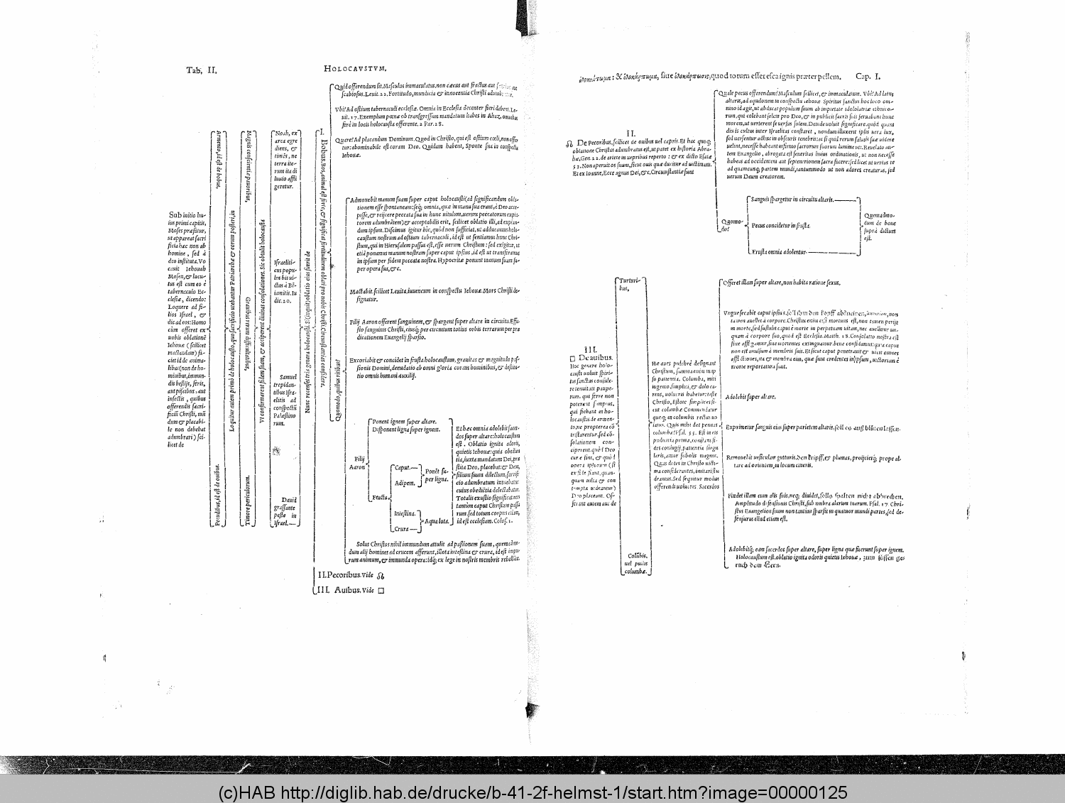 http://diglib.hab.de/drucke/b-41-2f-helmst-1/00000125.gif