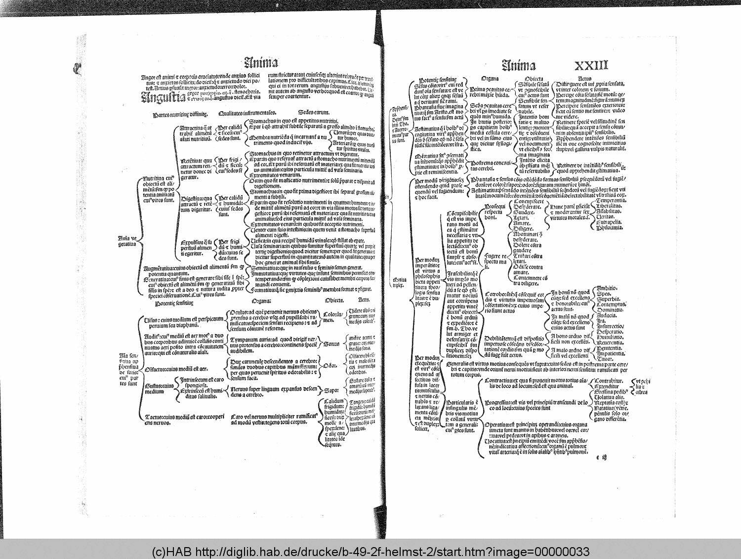 http://diglib.hab.de/drucke/b-49-2f-helmst-2/00000033.gif