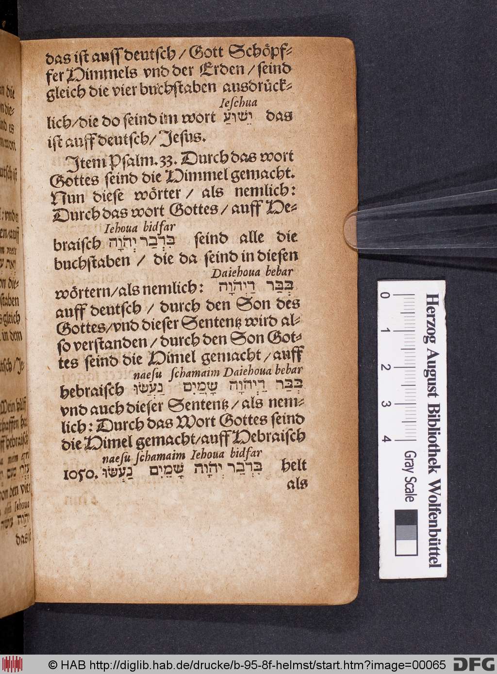 http://diglib.hab.de/drucke/b-95-8f-helmst/00065.jpg