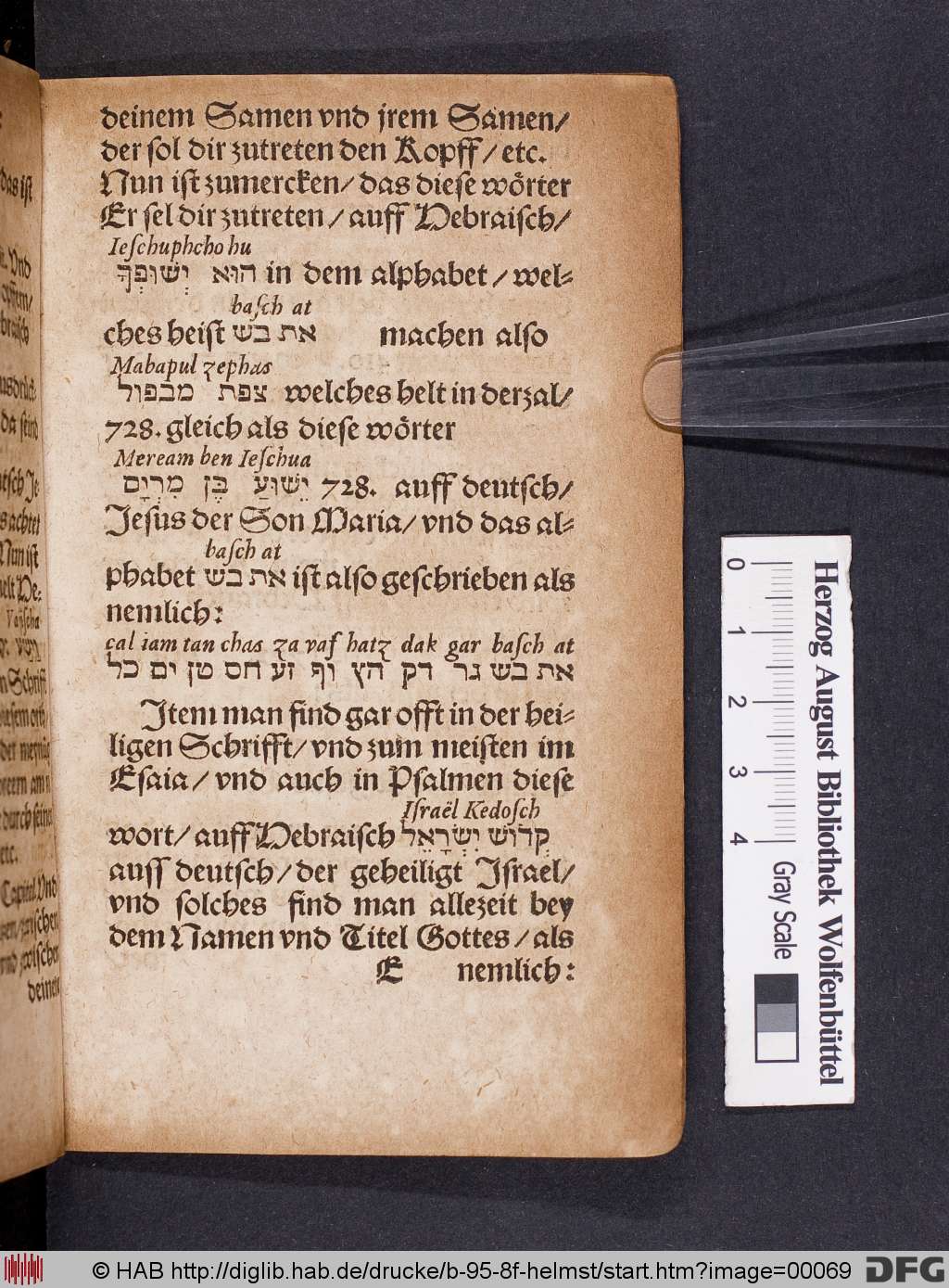 http://diglib.hab.de/drucke/b-95-8f-helmst/00069.jpg