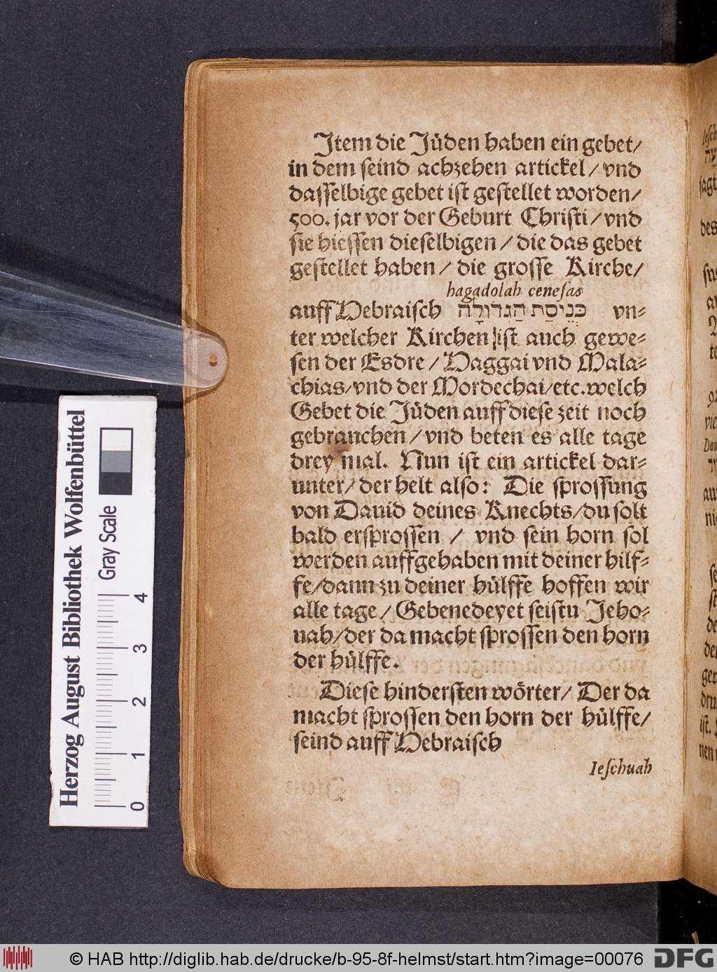 http://diglib.hab.de/drucke/b-95-8f-helmst/00076.jpg