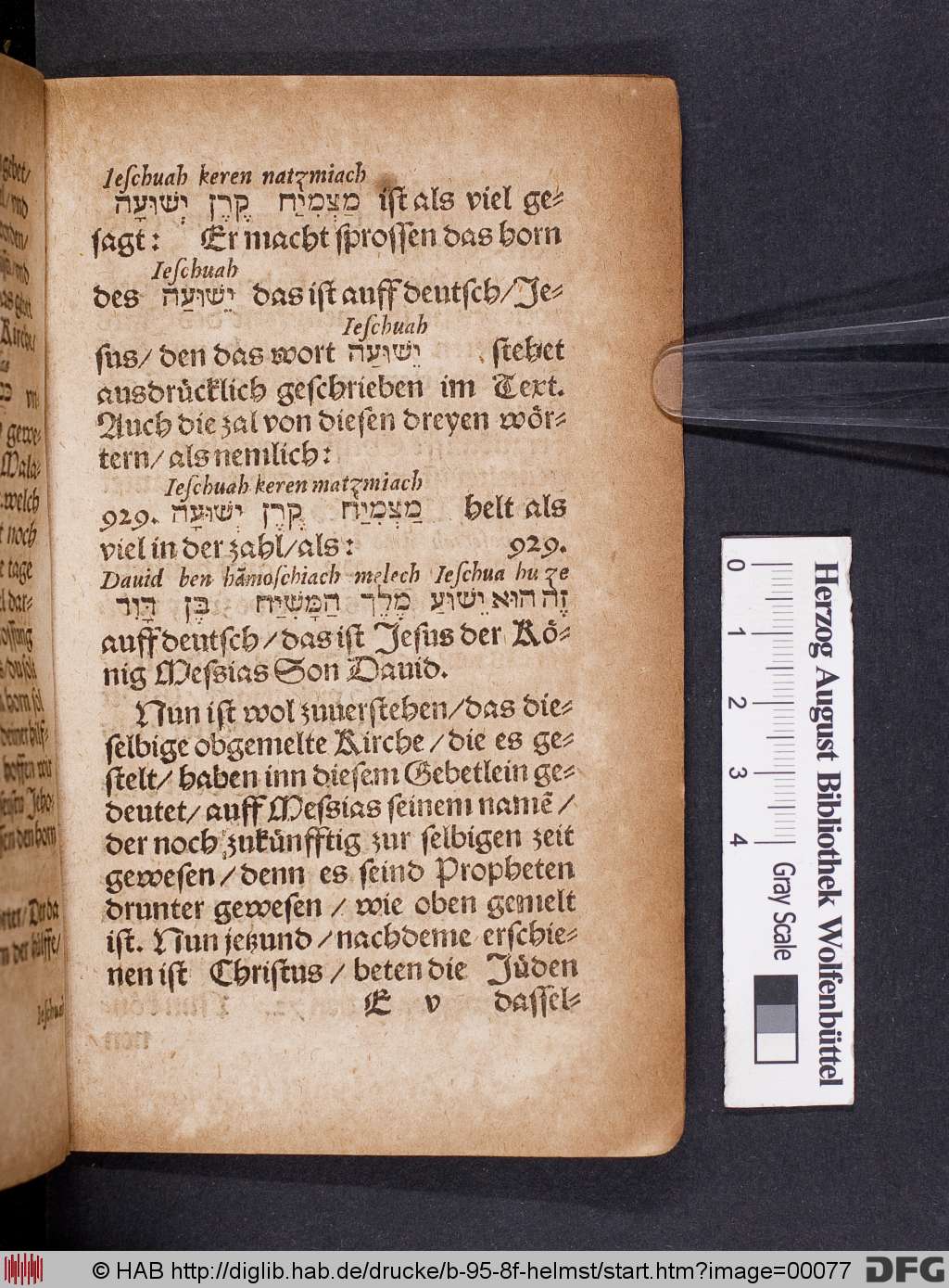 http://diglib.hab.de/drucke/b-95-8f-helmst/00077.jpg