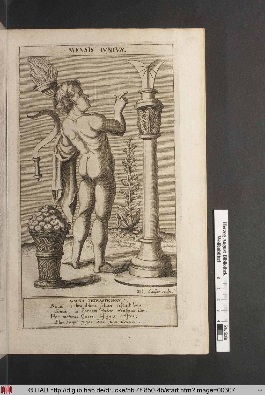 http://diglib.hab.de/drucke/bb-4f-850-4b/00307.jpg