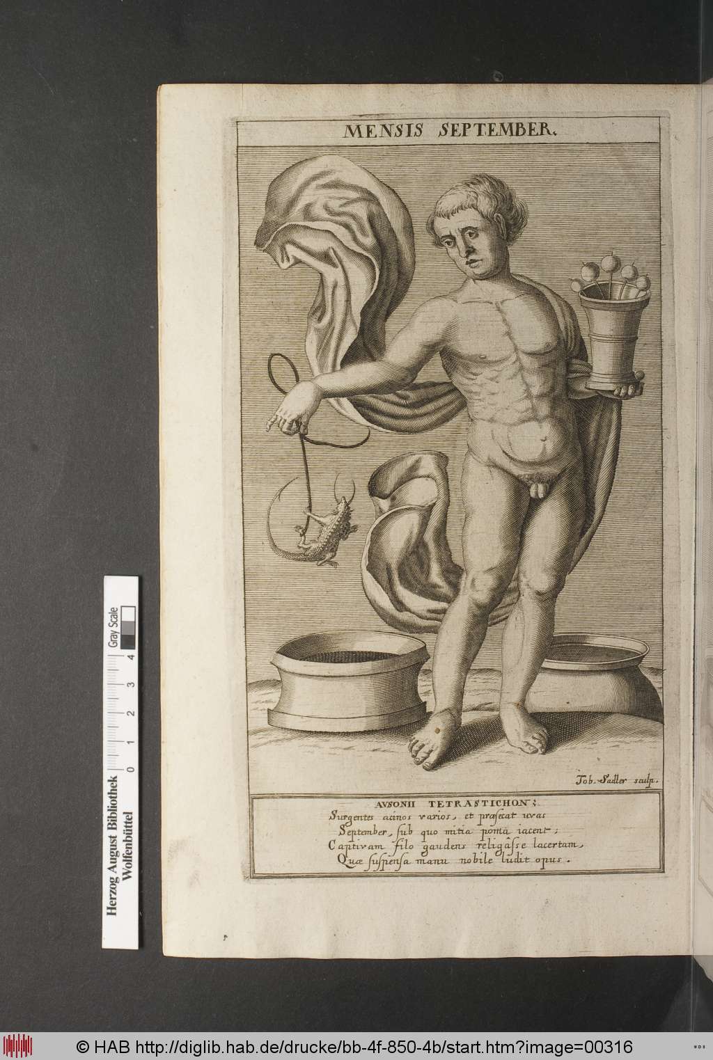 http://diglib.hab.de/drucke/bb-4f-850-4b/00316.jpg
