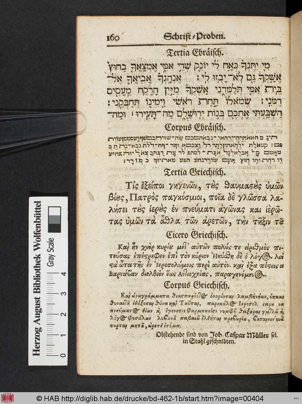 http://diglib.hab.de/drucke/bd-462-1b/00404.jpg