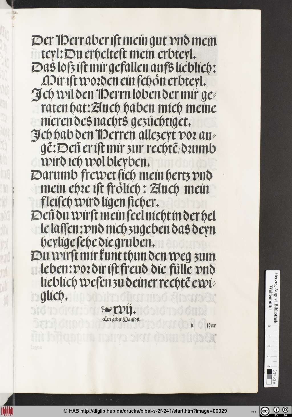 http://diglib.hab.de/drucke/bibel-s-2f-241/00029.jpg