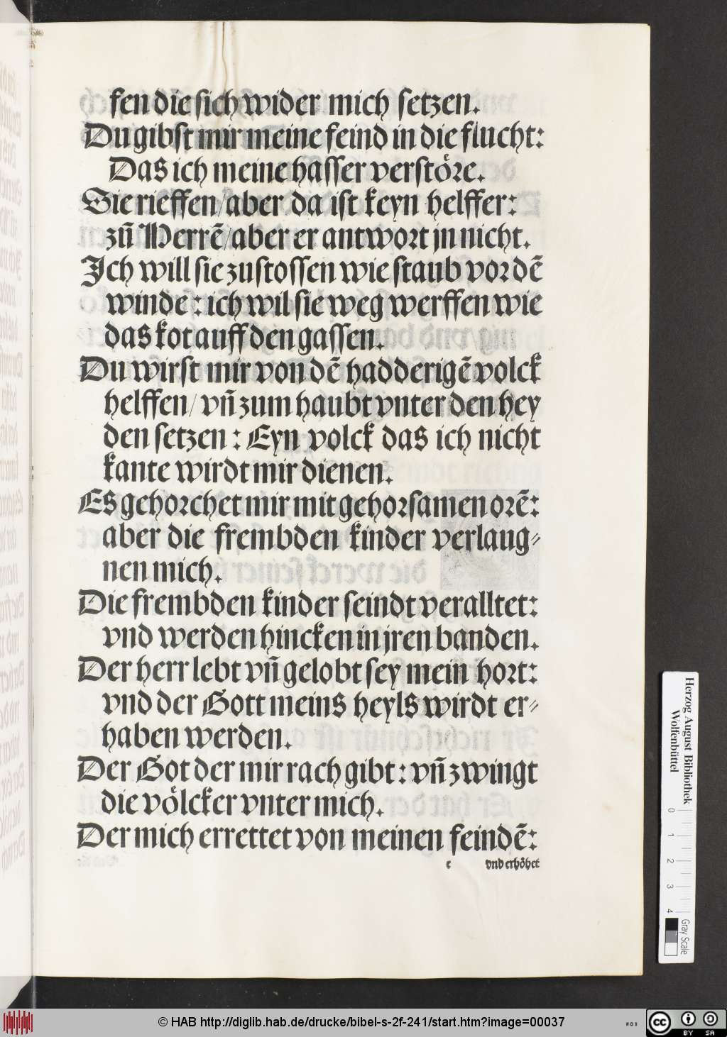 http://diglib.hab.de/drucke/bibel-s-2f-241/00037.jpg