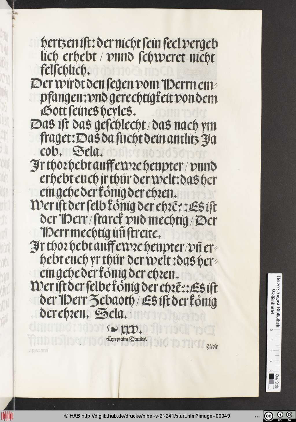 http://diglib.hab.de/drucke/bibel-s-2f-241/00049.jpg