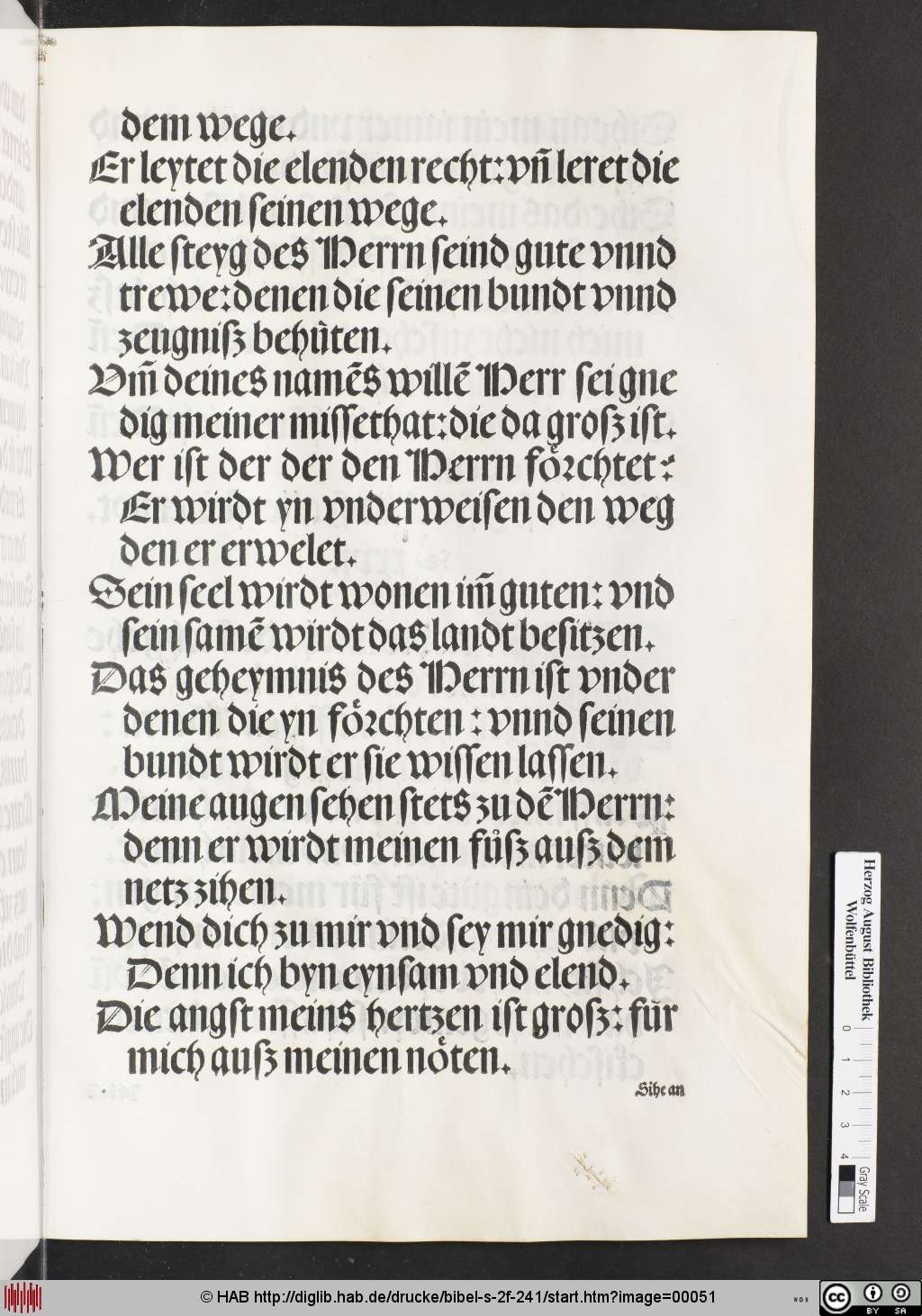 http://diglib.hab.de/drucke/bibel-s-2f-241/00051.jpg