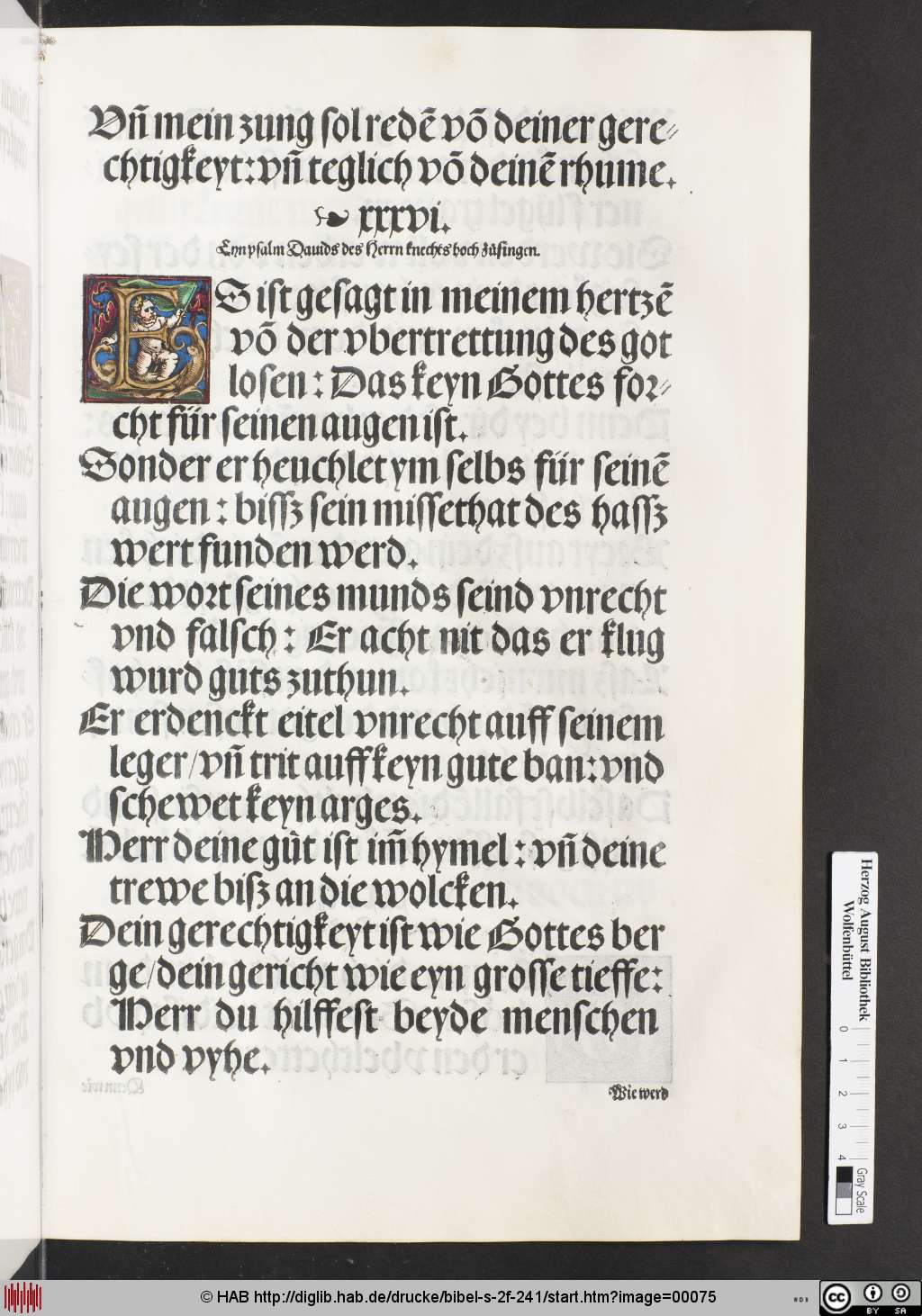 http://diglib.hab.de/drucke/bibel-s-2f-241/00075.jpg