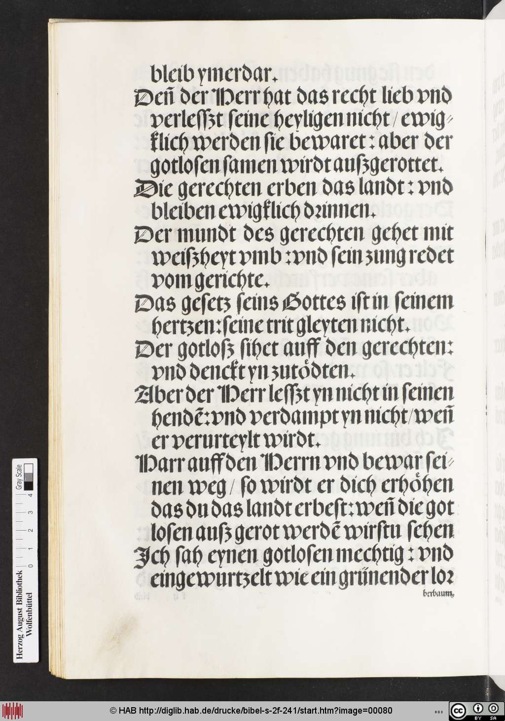 http://diglib.hab.de/drucke/bibel-s-2f-241/00080.jpg