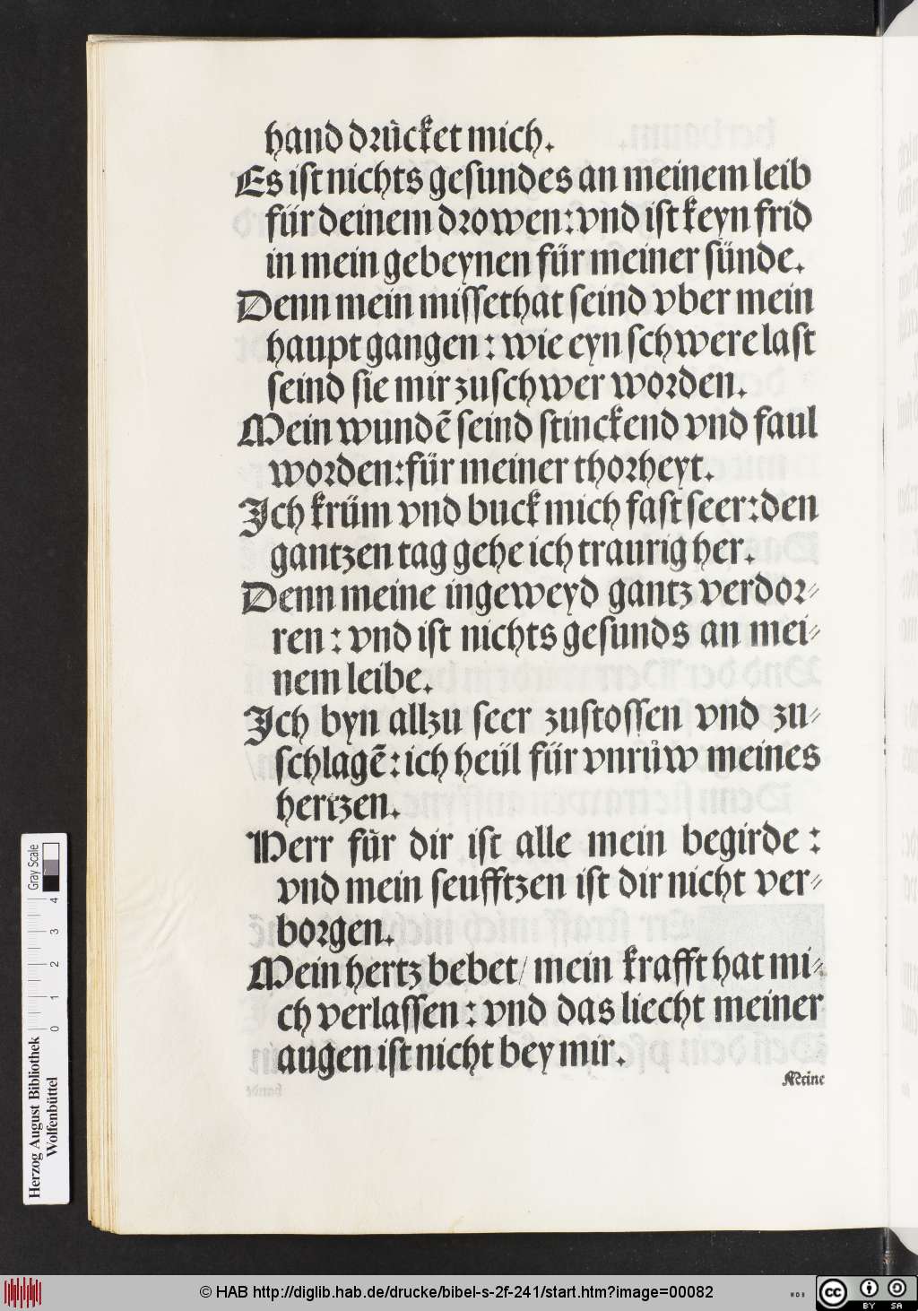 http://diglib.hab.de/drucke/bibel-s-2f-241/00082.jpg