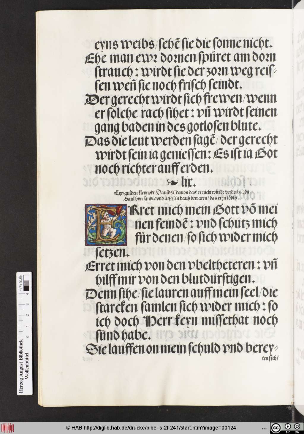 http://diglib.hab.de/drucke/bibel-s-2f-241/00124.jpg