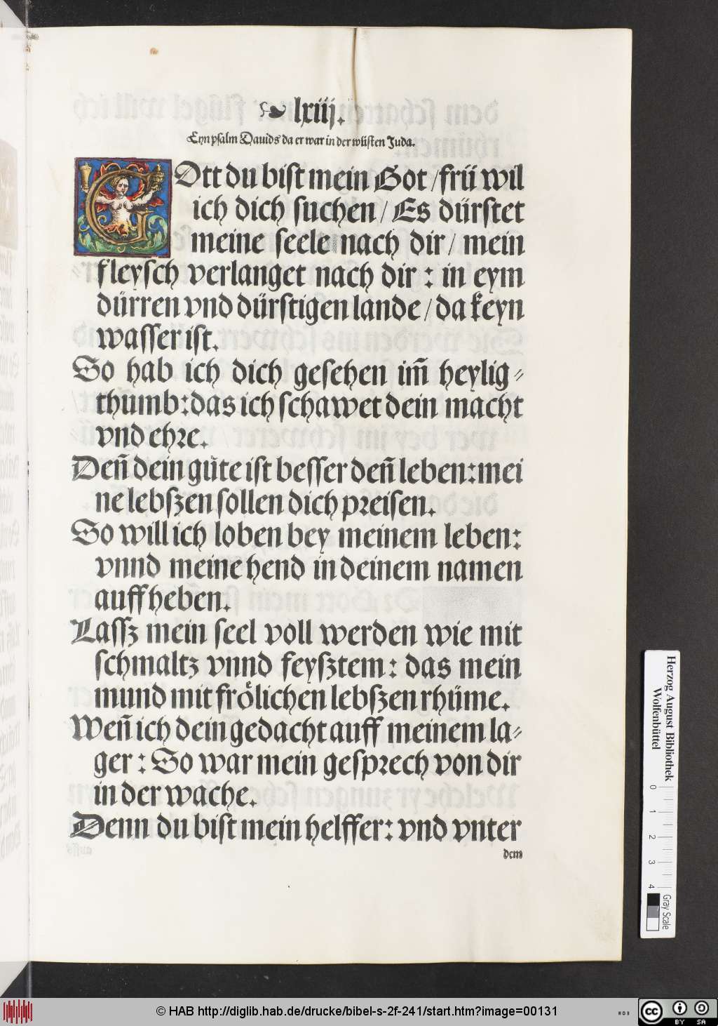 http://diglib.hab.de/drucke/bibel-s-2f-241/00131.jpg
