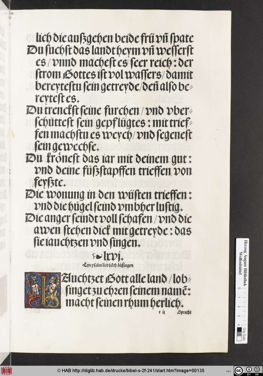 http://diglib.hab.de/drucke/bibel-s-2f-241/00135.jpg