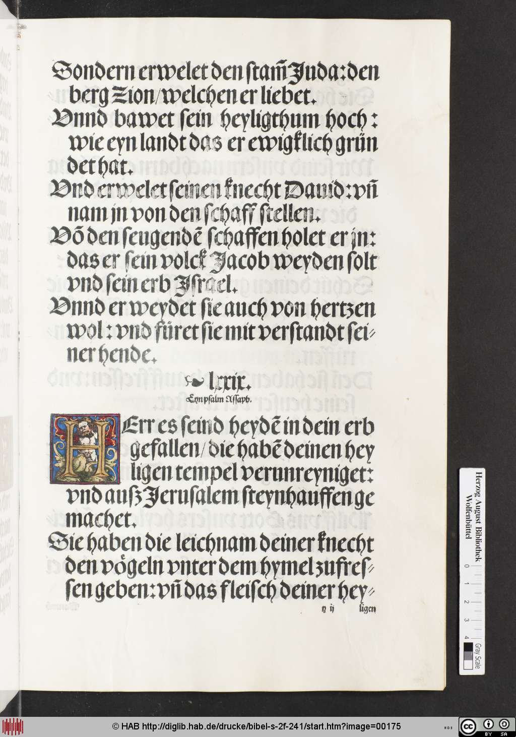 http://diglib.hab.de/drucke/bibel-s-2f-241/00175.jpg