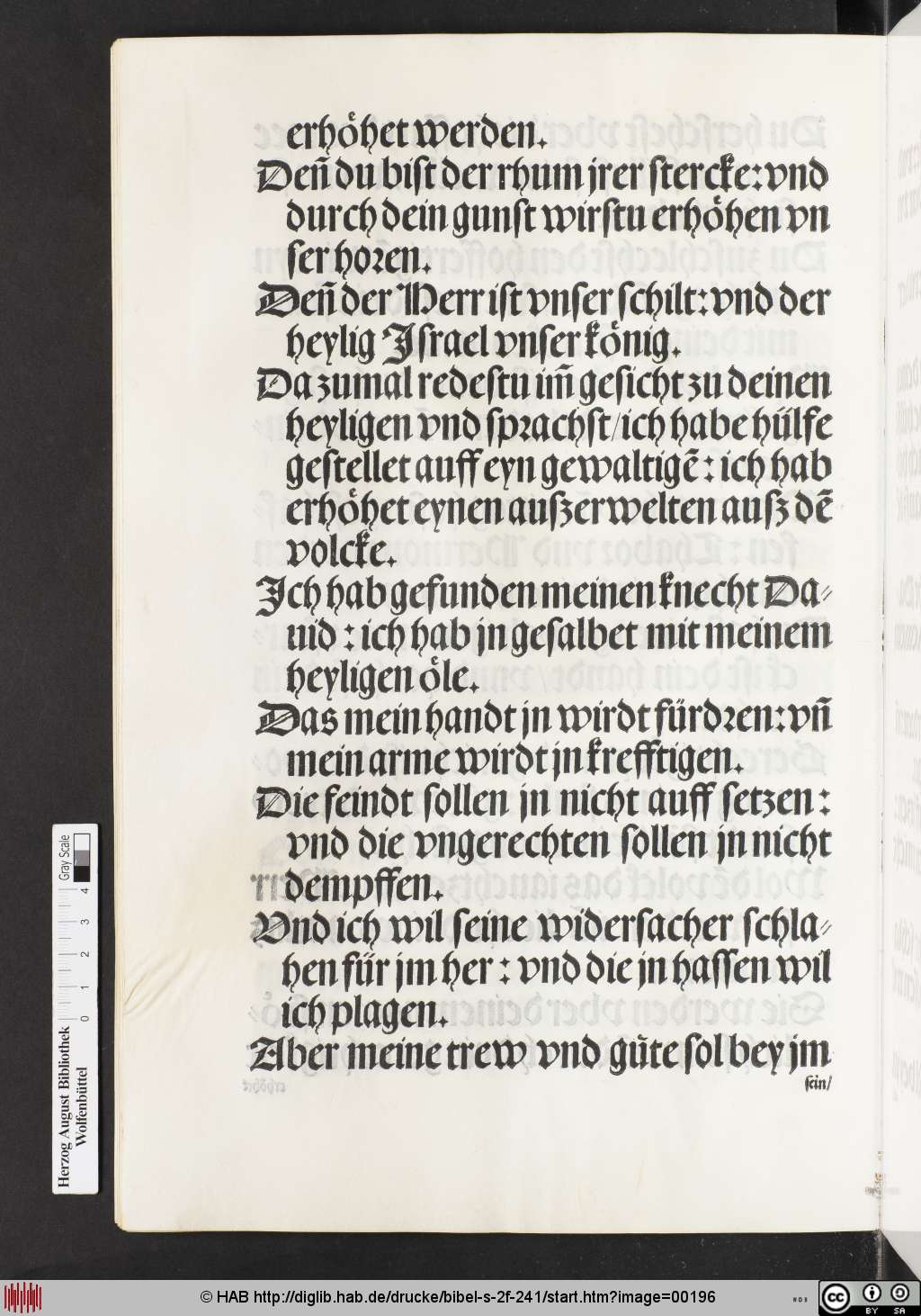 http://diglib.hab.de/drucke/bibel-s-2f-241/00196.jpg
