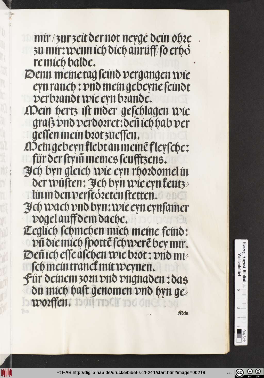 http://diglib.hab.de/drucke/bibel-s-2f-241/00219.jpg