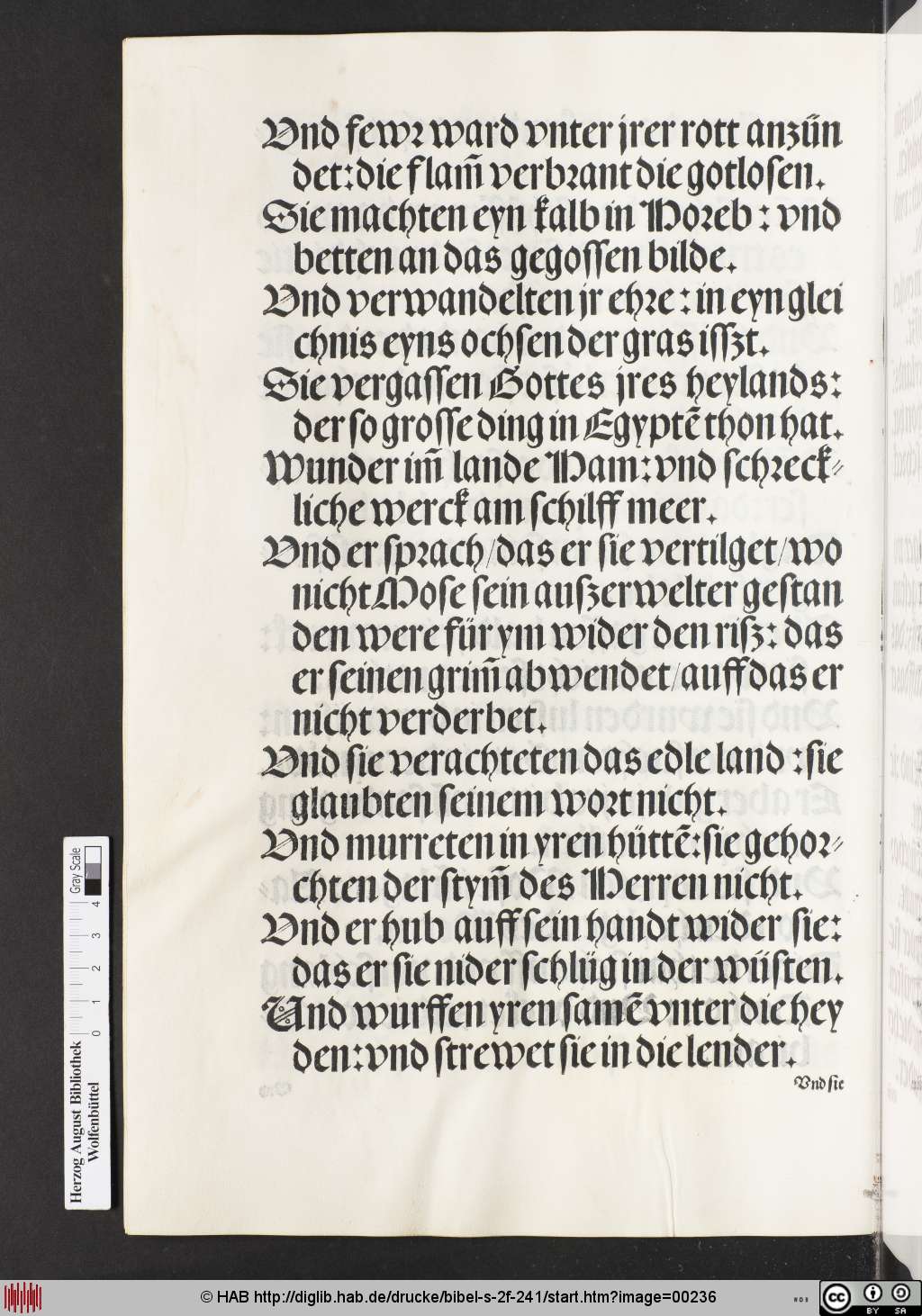 http://diglib.hab.de/drucke/bibel-s-2f-241/00236.jpg