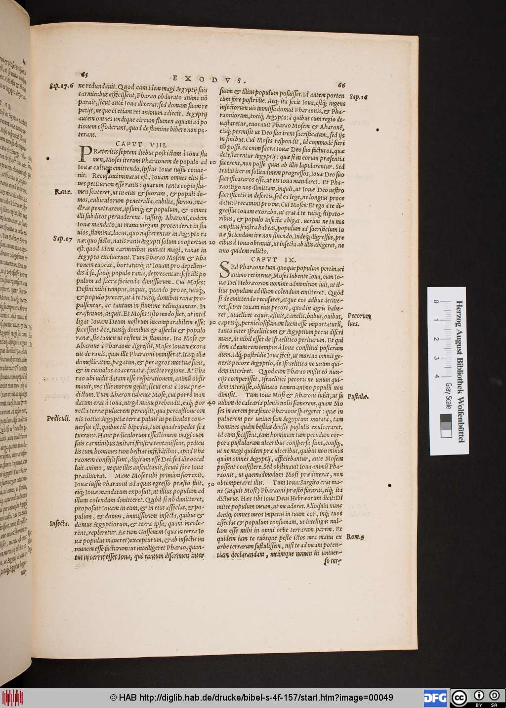 http://diglib.hab.de/drucke/bibel-s-4f-157/00049.jpg
